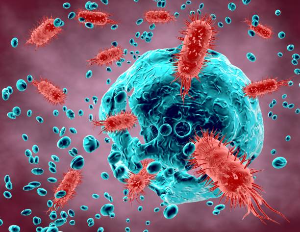 Difterite in aumento dal 2022. L'allarme dell'Istituto Pasteur