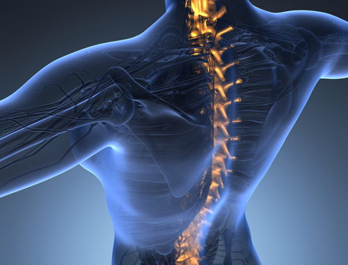 La nuova era della chirurgia vertebrale: tecnologia, formazione e centralità del paziente